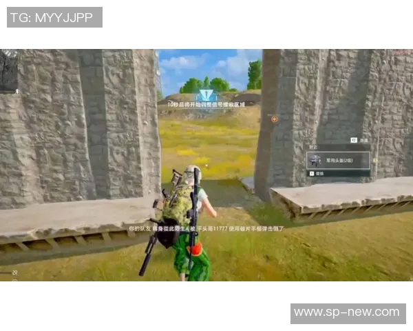 和平精英热议:TES团队协作引发的争议与反思 和平精英热议:TES团队协作引发的争议与反思