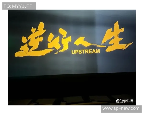 张帆的成长之路：从普通学生到行业精英的奋斗故事与人生启示