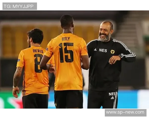 伯明翰与狼队的激烈对决结果揭晓谁将胜出这场比赛