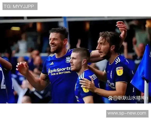 谢菲尔德联主场迎战加的夫城期待精彩对决与激烈竞争